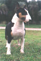 MAHONEY campionessa monegasca